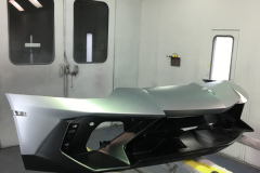 lambo5-paint